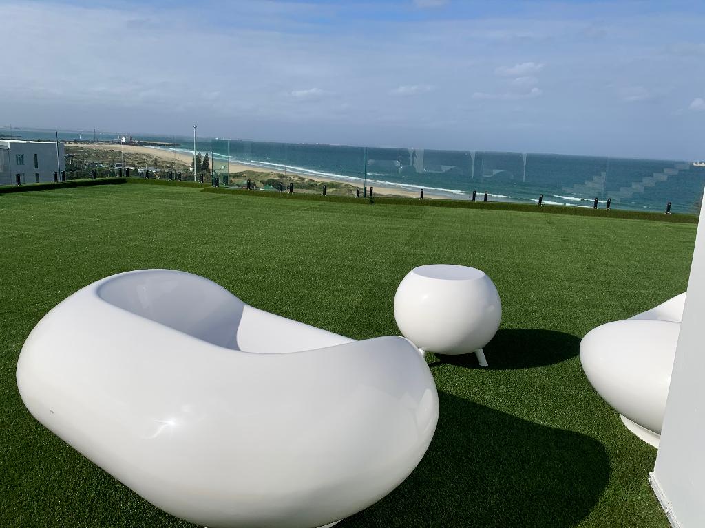port elizabeth