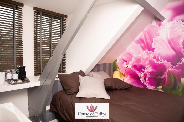 house of tulips