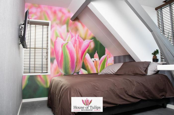 house of tulips