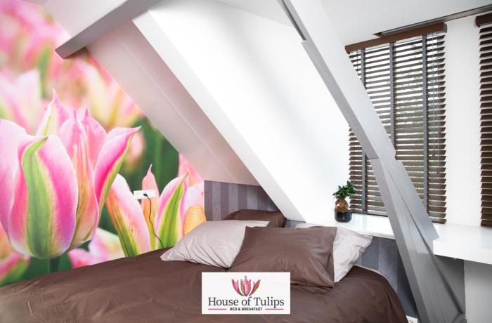 house of tulips