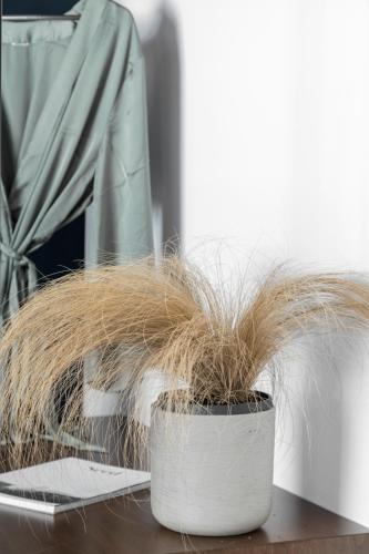 play theatrou athens