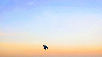 rhodes skyline suites