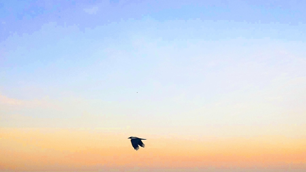 rhodes skyline suites