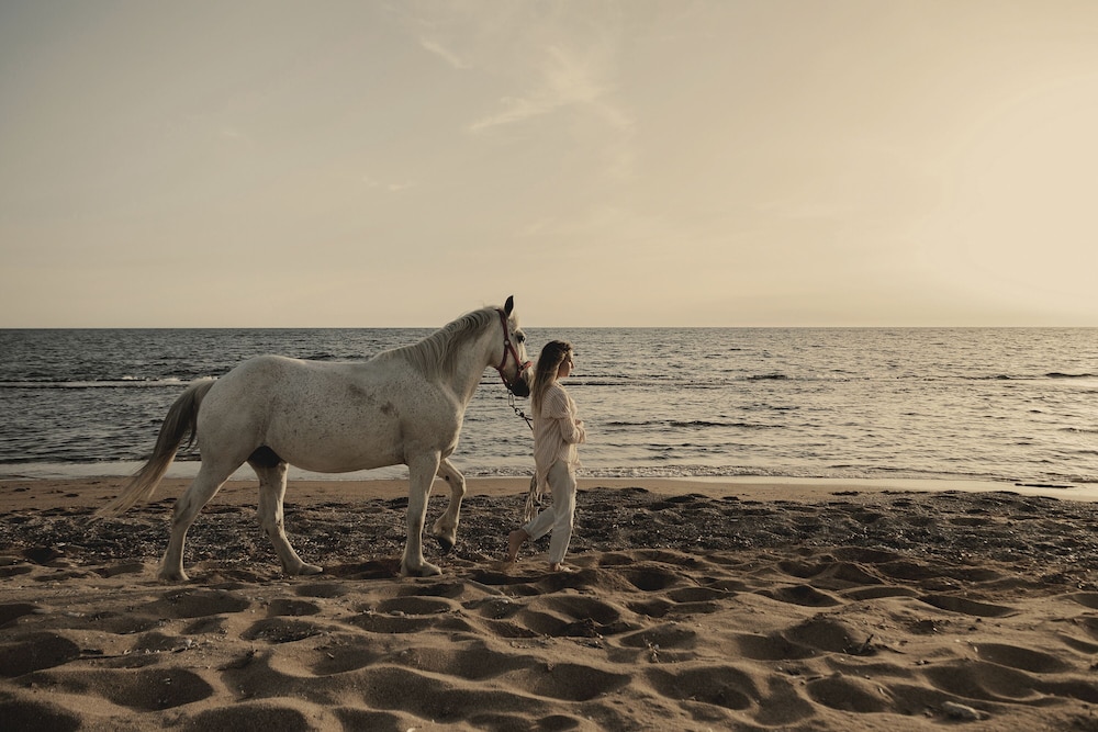 meraviglia slow living