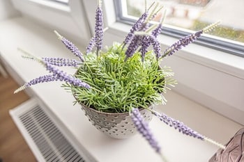 dehnhaide apartments