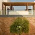 octant evora