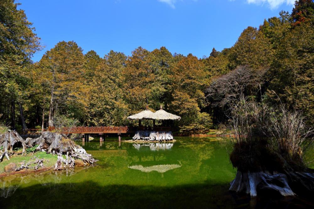 ali shan dengshan hotel
