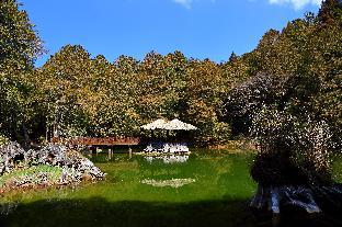 ali shan dengshan hotel