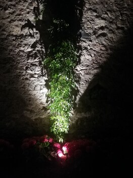 bandb corte alma spa and luxury home