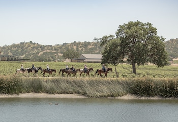 paso robles