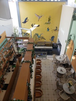 guadalajara