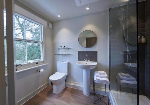 the swan at forest row