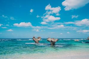 yuki suite kourijima