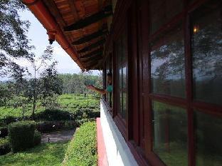 wayanad