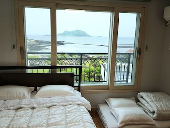 jangsugot pension