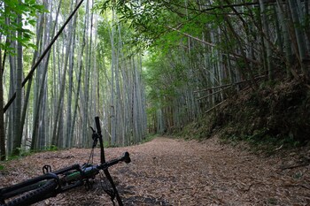 shimanto riverside hideaway