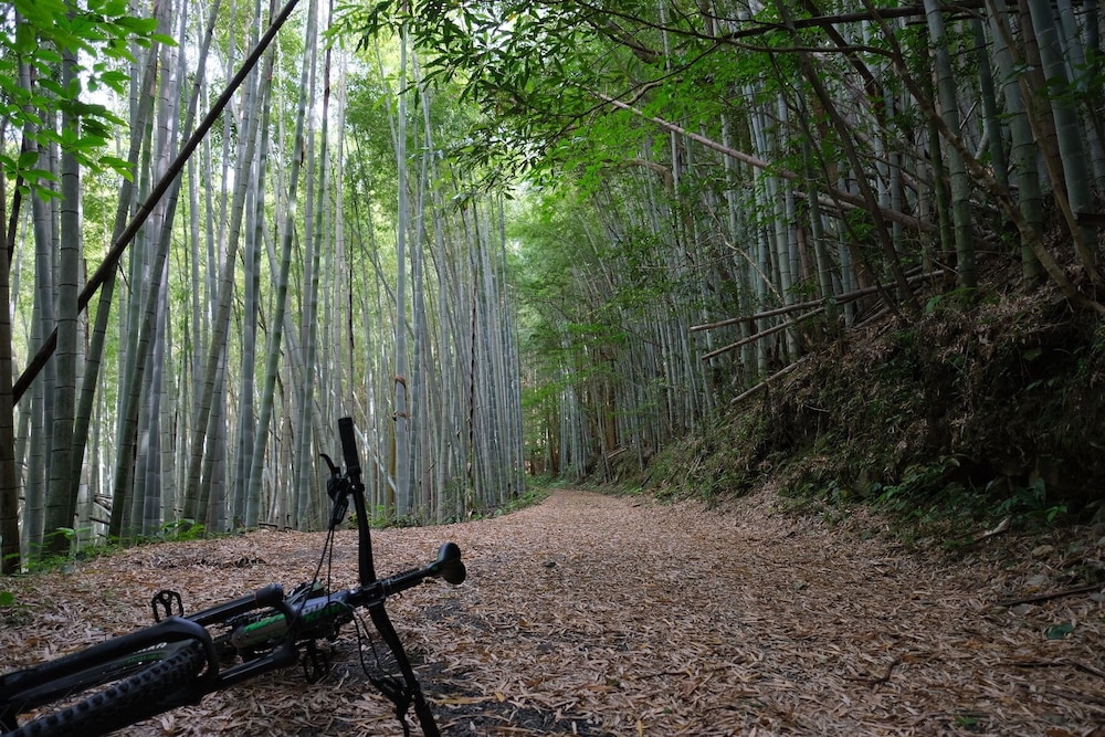 shimanto riverside hideaway
