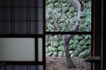 shimanto riverside hideaway