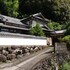 shimanto