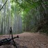 shimanto riverside hideaway