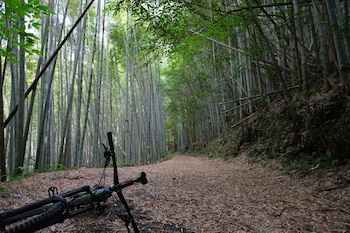 shimanto riverside hideaway