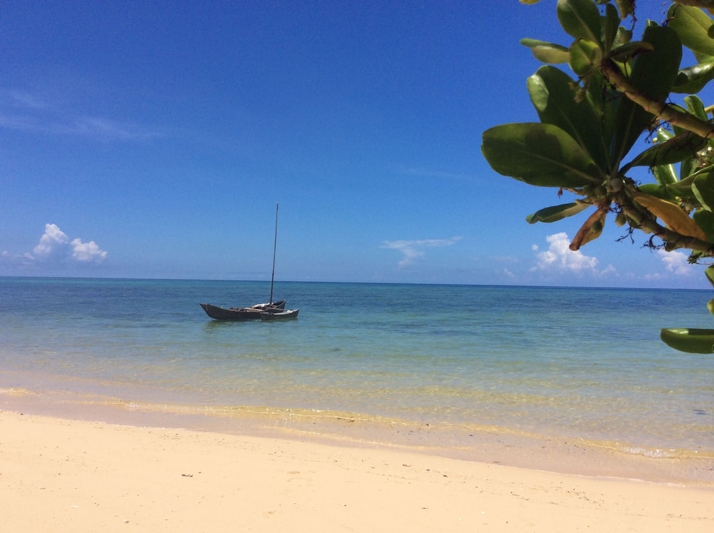 ishigaki