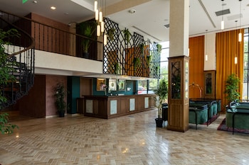 biography design tbilisi