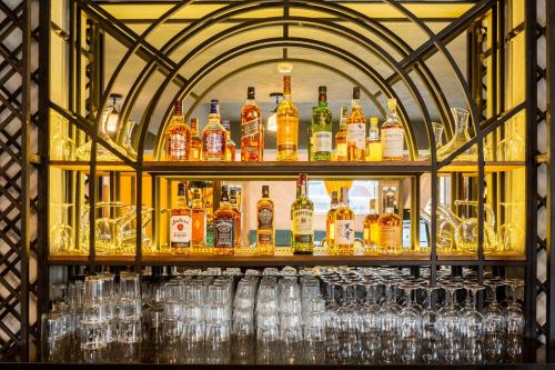 biography design tbilisi