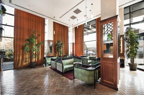 biography design tbilisi