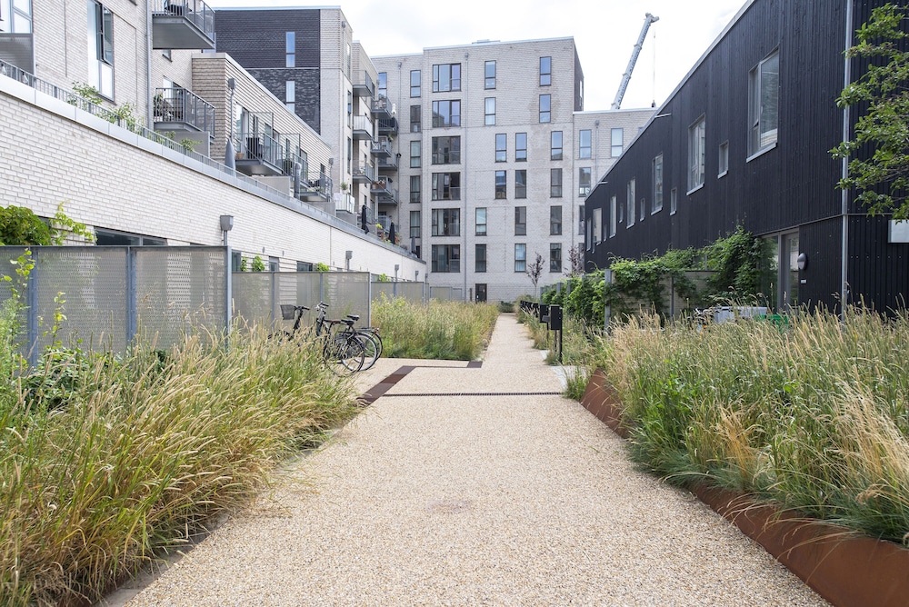 by the beach gardens into this place