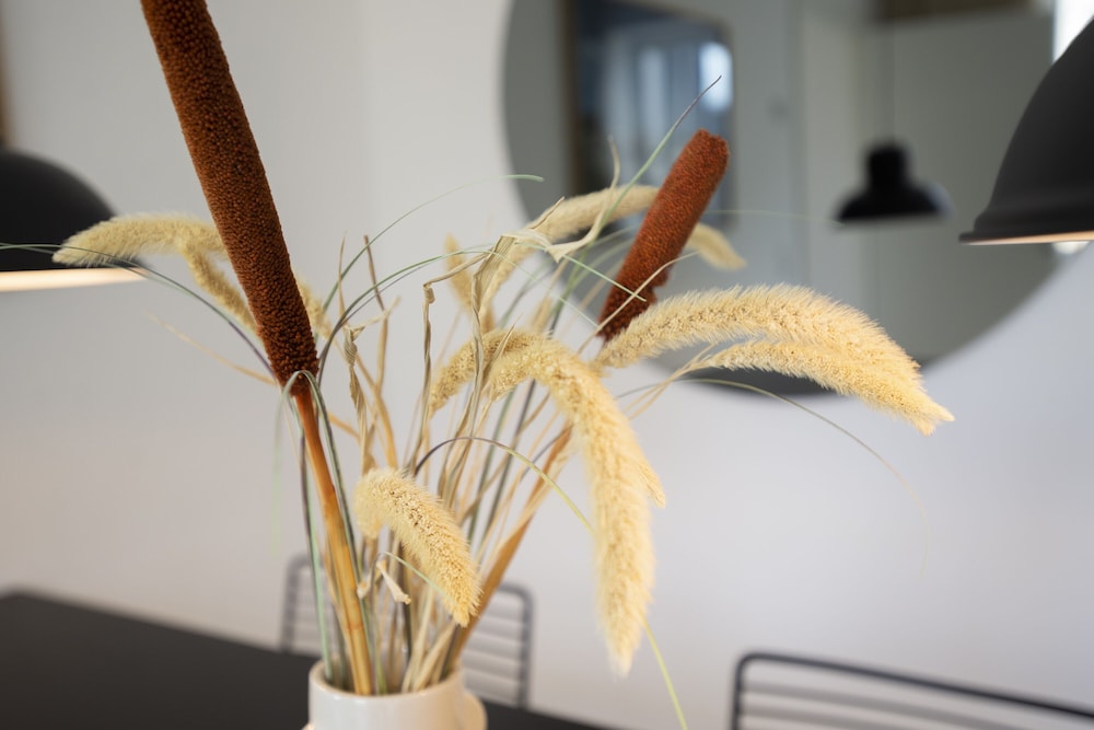 by the beach gardens into this place