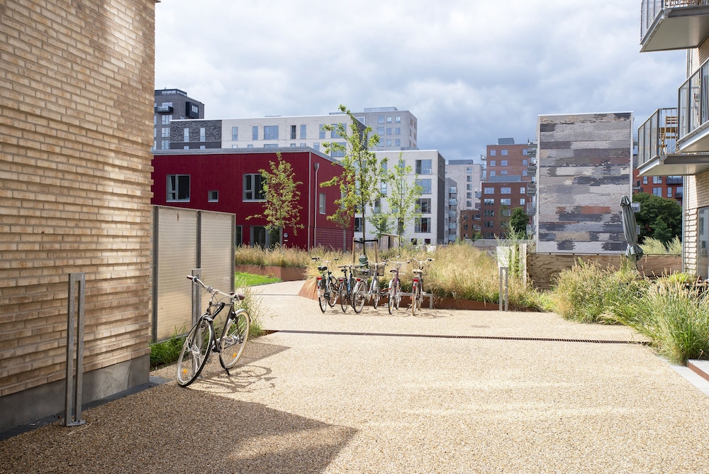 by the beach gardens into this place