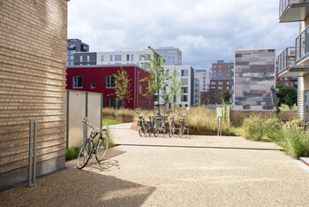 by the beach gardens into this place