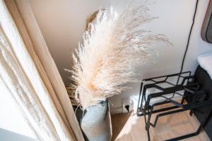 by the beach gardens into this place