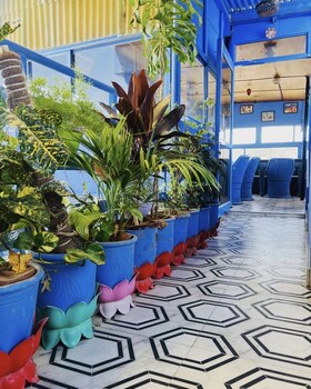 hotel juna mahal boutique homestay