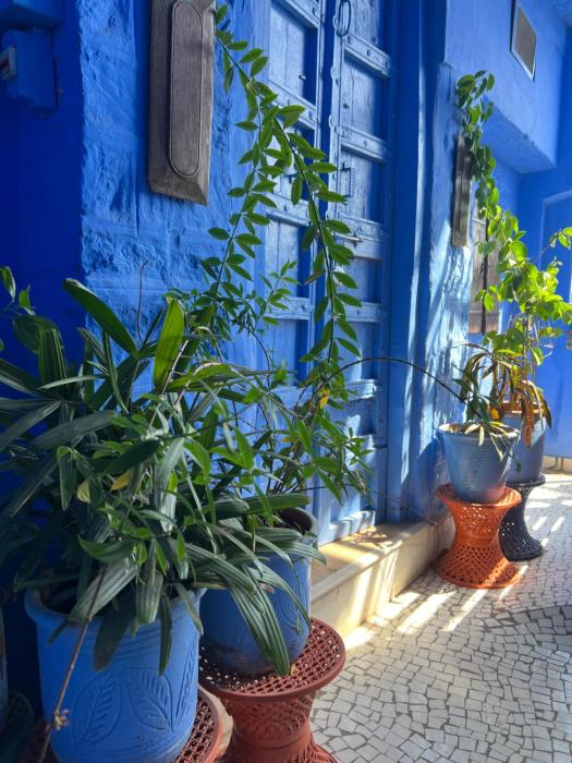 hotel juna mahal boutique homestay