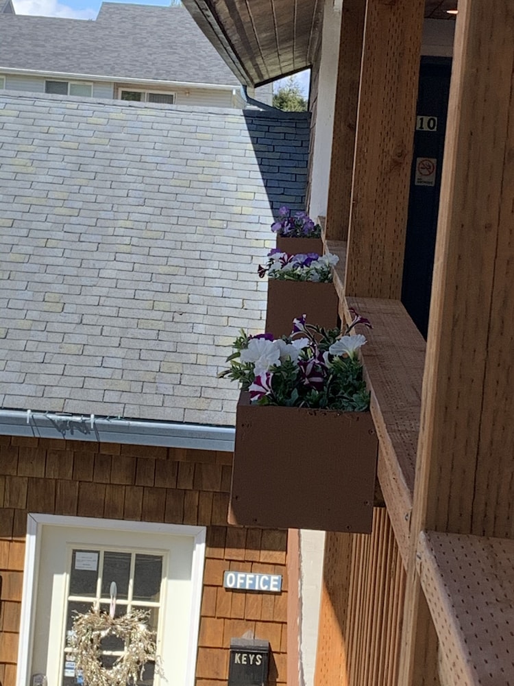 south jetty inn