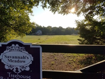 savannahs meadow