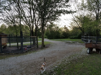 savannahs meadow