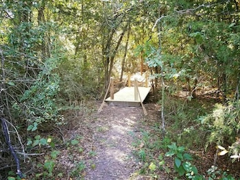 savannahs meadow