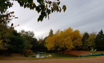 savannahs meadow