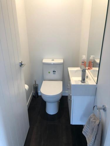 central park gemini apartments