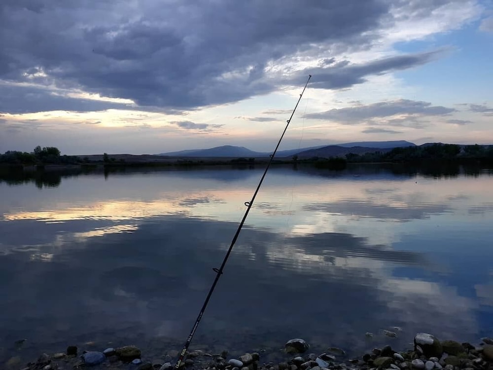 horseshoe bend motel