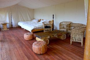 woodland bothy