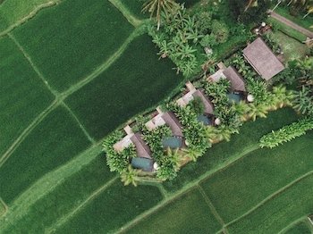 lasamana villas ubud by pramana villas