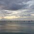 grand anse beach palace hotel