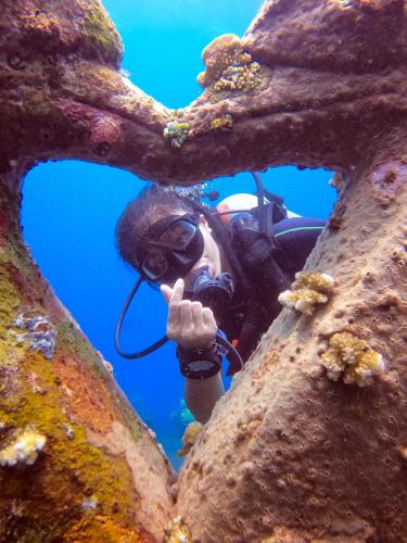 kura kura divers lodge