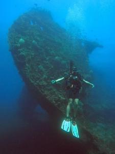 kura kura divers lodge