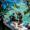 kura kura divers lodge