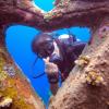 kura kura divers lodge
